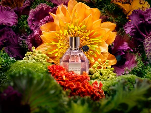 Photograph Jola Skora Viktor Rolf Flowerbomb on One Eyeland